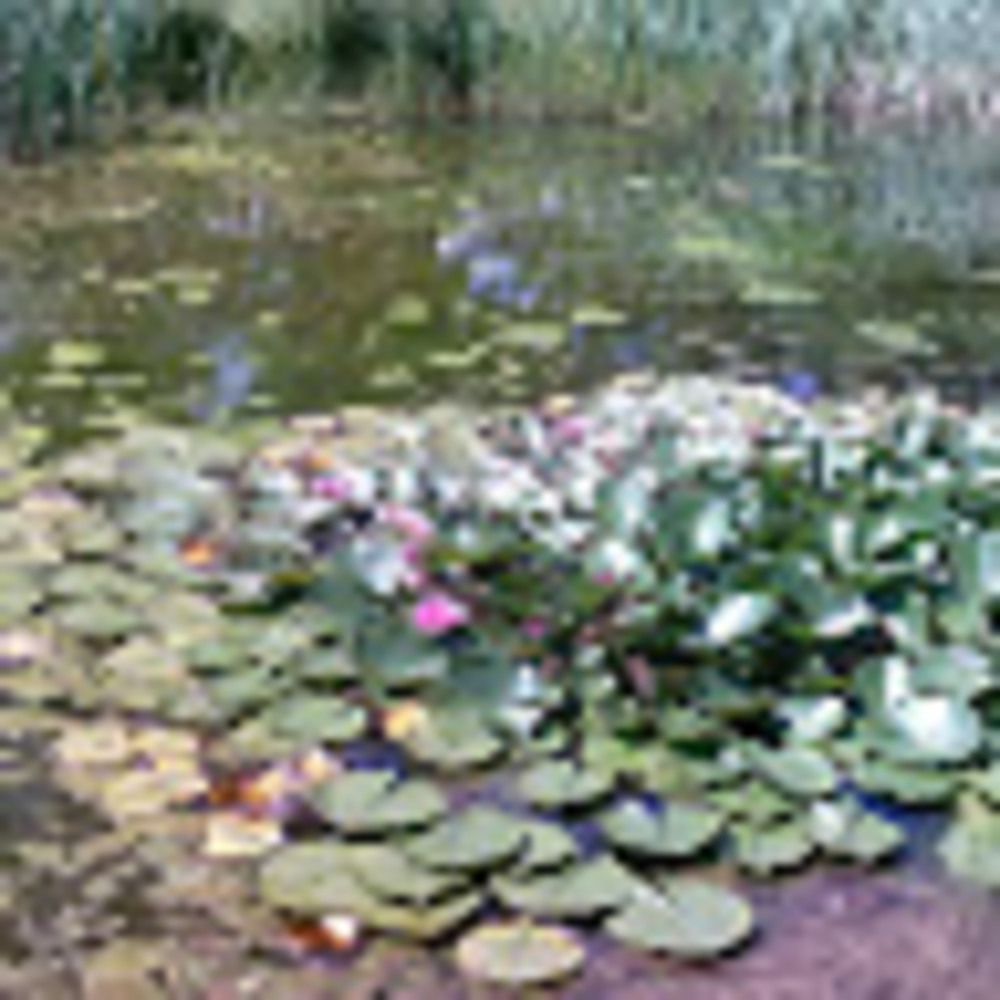 Meet your Posher, Ellie